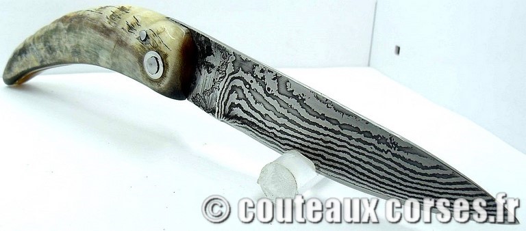 curnicciolu-damas-et-corne-de-belier-74DFG-padovani-8