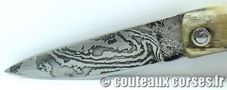 couteau corse curnicciolu damas et corne de belier curnicciolu-damas-et-corne-de-belier-74DFG-padovani-8