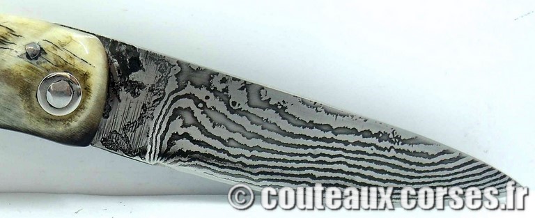 couteau corse curnicciolu damas et corne de belier curnicciolu-damas-et-corne-de-belier-74DFG-padovani-1
