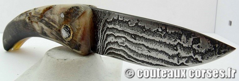 curnicciolu-damas-et-corne-de-belier-m3-padovani-1-1-8