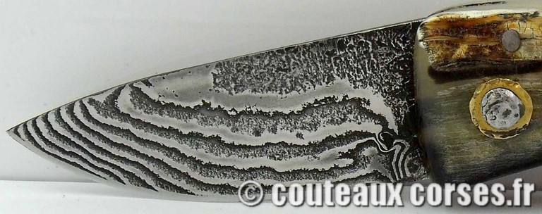 couteau corse curnicciolu damas et corne de belier curnicciolu-damas-et-corne-de-belier-m3-padovani-1-6.