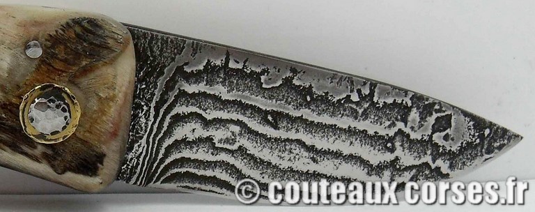 couteau corse curnicciolu damas et corne de bouc curnicciolu-damas-et-corne-de-belier-m3-padovani-1-1-77