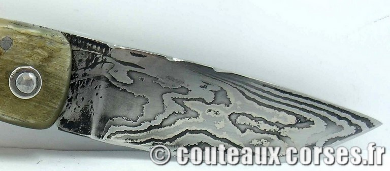 curnicciolu-damas-et-corne-de-belier-m3-padovani-1-89