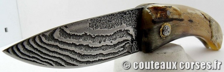 curnicciolu-damas-et-corne-de-belier-m3-padovani-1-3