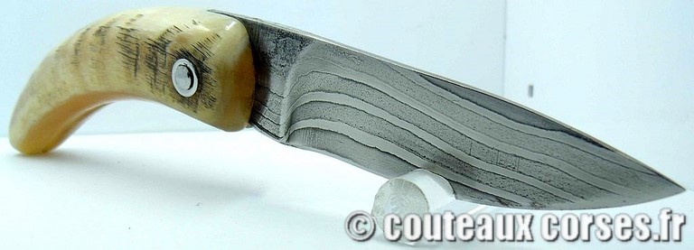 curnicciolu-damas-et-corne-de-belier-M-Padovani-1-5-8