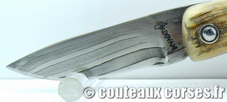 couteau corse curnicciolu damas et corne de belier curnicciolu-damas-et-corne-de-belier-M-Padovani-1-5-8