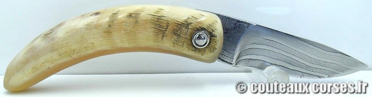 curnicciolu-damas-et-corne-de-belier-M-Padovani-1-5-1