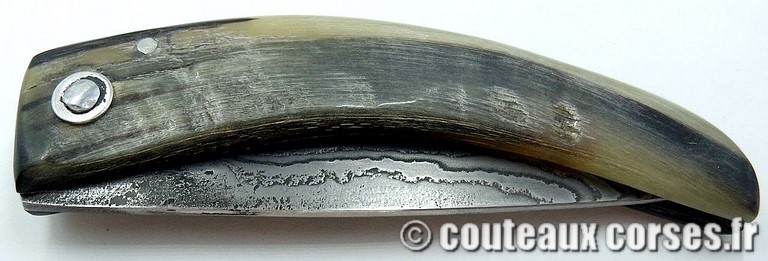 Curnicciolu corne de belier et damas M Padovani curnicciolu-damas-et-corne-de-belier-padovani-1