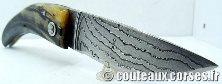 curnicciolu-damas-et-corne-de-belier-M-Padovani-1-5-8
