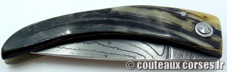 curnicciolu-damas-et-corne-de-belier-padovani-2