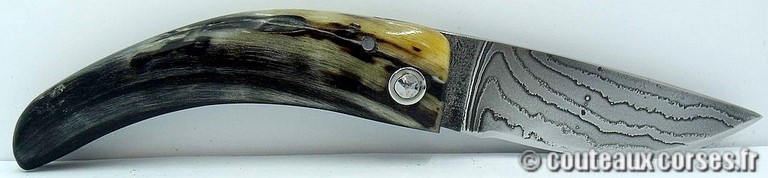 curnicciolu-damas-et-corne-de-belier-M-Padovani-1-5-1