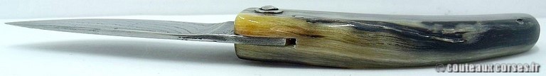curnicciolu-damas-et-corne-de-belier-M-Padovani-1-5-4