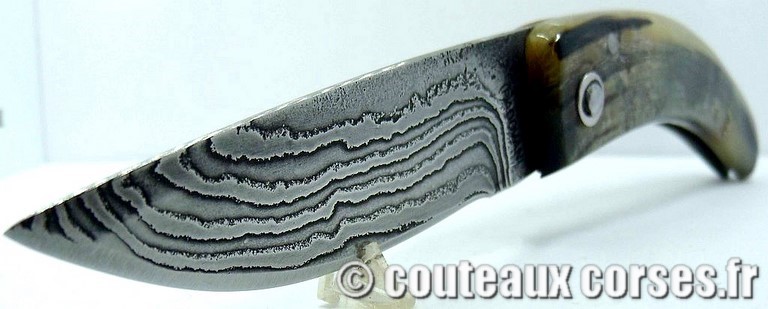 curnicciolu-damas-et-corne-de-belier-M-Padovani-1-5-3
