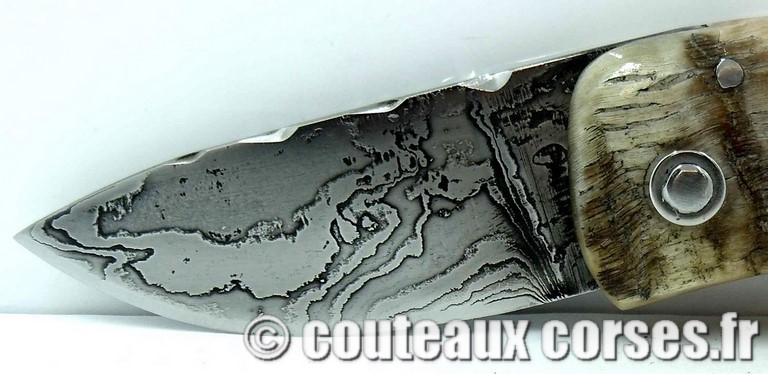 couteau corse curnicciolu damas et corne de belier curnicciolu-damas-et-corne-de-belier5FH-padovani-8
