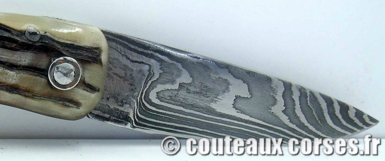 couteau corse curnicciolu damas et corne de belier curnicciolu-damas-et-corne-de-bouc-KLFD85-padovani-11