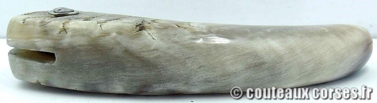 curnicciolu-damas-et-corne-de-bouc-DFEO78-padovani-12