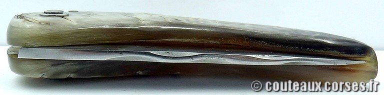 curnicciolu-damas-et-corne-de-bouc-DFEO78-padovani-13