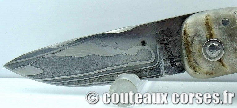 couteau corse curnicciolu damas et corne de belier curnicciolu-damas-et-corne-de-bouc-DFEO78-padovani-18