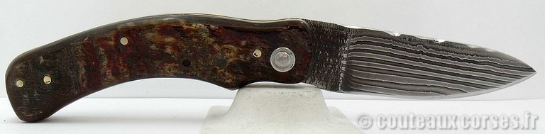 curnicciolu-damas-corne-chèvre-padovani-1-9-2