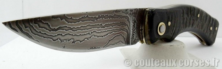 curnicciolu-damas-corne-bouc-padovani-1-2