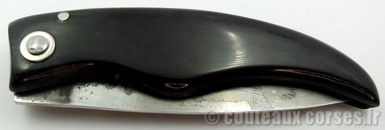 curnicciolu_corne_bouc_antenatu_Padovani_2_1_1