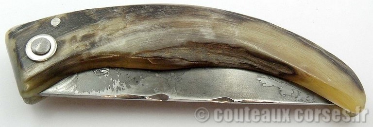 Antenatu-couteau-corse-padovani-c1