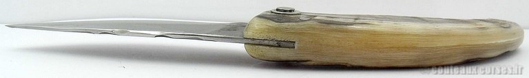 Antenatu-couteau-corse-padovani-c-6