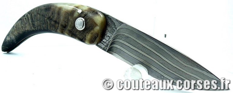 curnicciolu-damas-et-corne-de-bouc-MLEZ25-padovani-128
