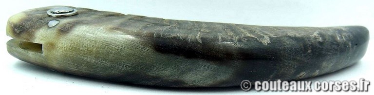 curnicciolu-damas-et-corne-de-bouc-MLEZ25-padovani-12