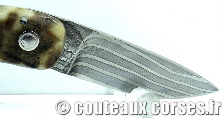 couteau corse curnicciolu damas et corne de belier curnicciolu-damas-et-corne-de-bouc-MLEZ25-padovani-11