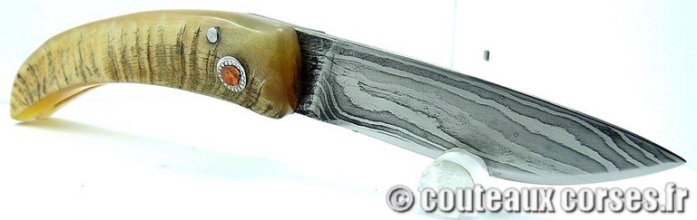 curnicciolu-damas-et-corne-de-bouc-HGFR852-padovani-1-128
