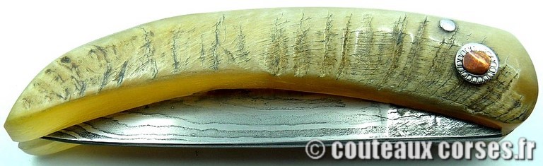 curnicciolu-damas-et-corne-de-bouc-HGFR852-padovani-112