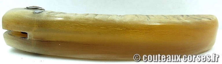 curnicciolu-damas-et-corne-de-bouc-HGFR852-padovani-162