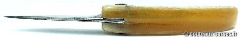 curnicciolu-damas-et-corne-de-bouc-HGFR852-padovani-114
