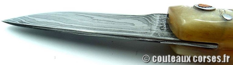 curnicciolu-damas-et-corne-de-bouc-HGFR852-padovani-1-189