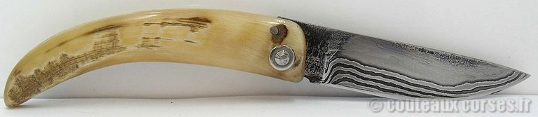 curnicciolu-damas-et-corne-de-belier-M-Padovani-1-5-1
