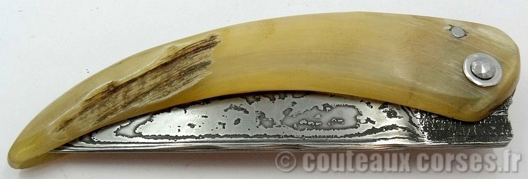 curnicciolu-damas-et-corne-de-belier-M-Padovani-Z-5-2