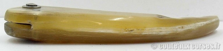 curnicciolu-damas-et-corne-de-belier-M-Padovani-Z-5-3