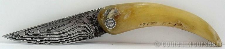 couteau corse curnicciolu damas et corne de bouc curnicciolu-damas-et-corne-de-belier-M-Padovani-Z-5