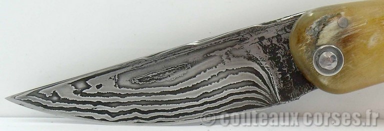 couteau corse curnicciolu damas et corne de bouc curnicciolu-damas-et-corne-de-belier-M-Padovani-Z-5-6.