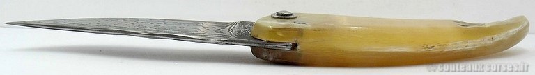 curnicciolu-damas-et-corne-de-belier-M-Padovani-Z-5-4