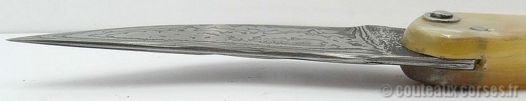 curnicciolu-damas-et-corne-de-belier-M-Padovani-Z-5-9-4