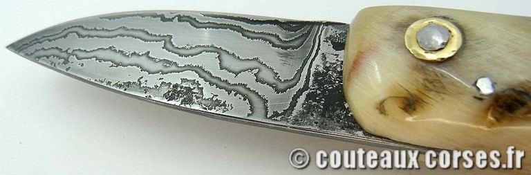 curnicciolu-damas-et-corne-de-belier-D1002-padovani-89