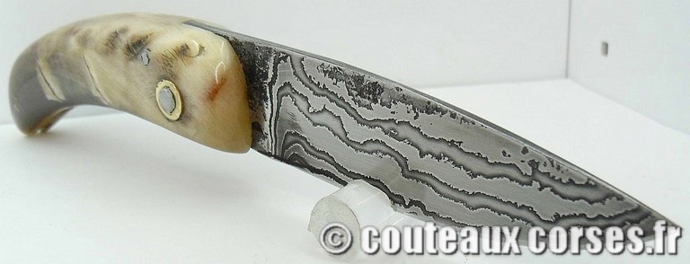 curnicciolu-damas-et-corne-de-belier-D1002-padovani-8