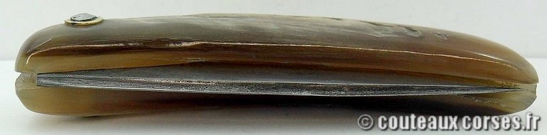 curnicciolu-damas-et-corne-de-belier-D1002-padovani-3