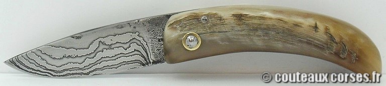 couteau corse curnicciolu damas et corne de belier curnicciolu-damas-et-corne-de-belier-D1002-padovani-15