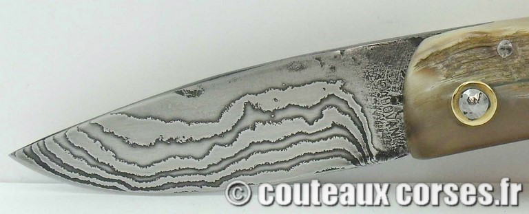 couteau corse curnicciolu damas et corne de belier curnicciolu-damas-et-corne-de-belier-D1002-padovani-8