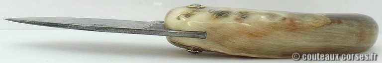 curnicciolu-damas-et-corne-de-belier-D1002-padovani-4