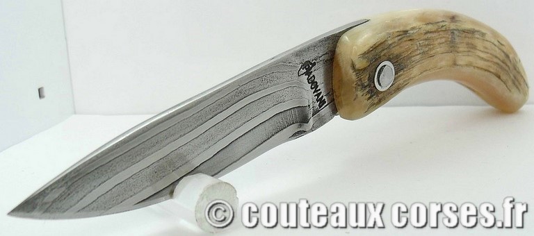 Curnicciolu corne de belier et damas king size M Padovani curnicciolu-damas-et-corne-de-bouc-DOLF05-padovani-1