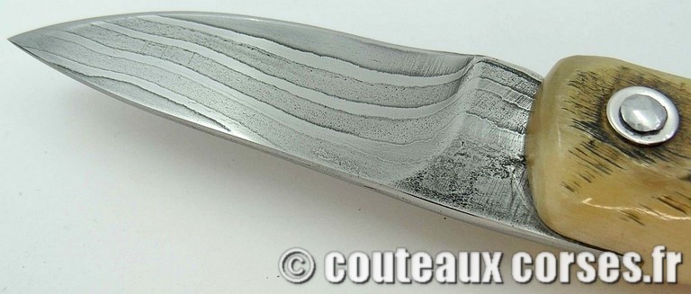 curnicciolu-damas-et-corne-de-belier-D1002-padovani-189